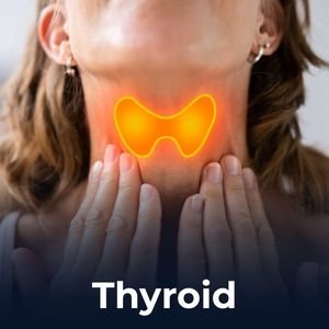 Thyroid